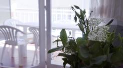 Apartament ampli platja Segur